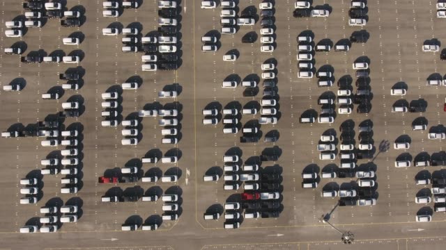 auction car transport